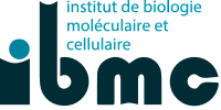 Logo Institut de biologie moléculaire et cellulaire du CNRS