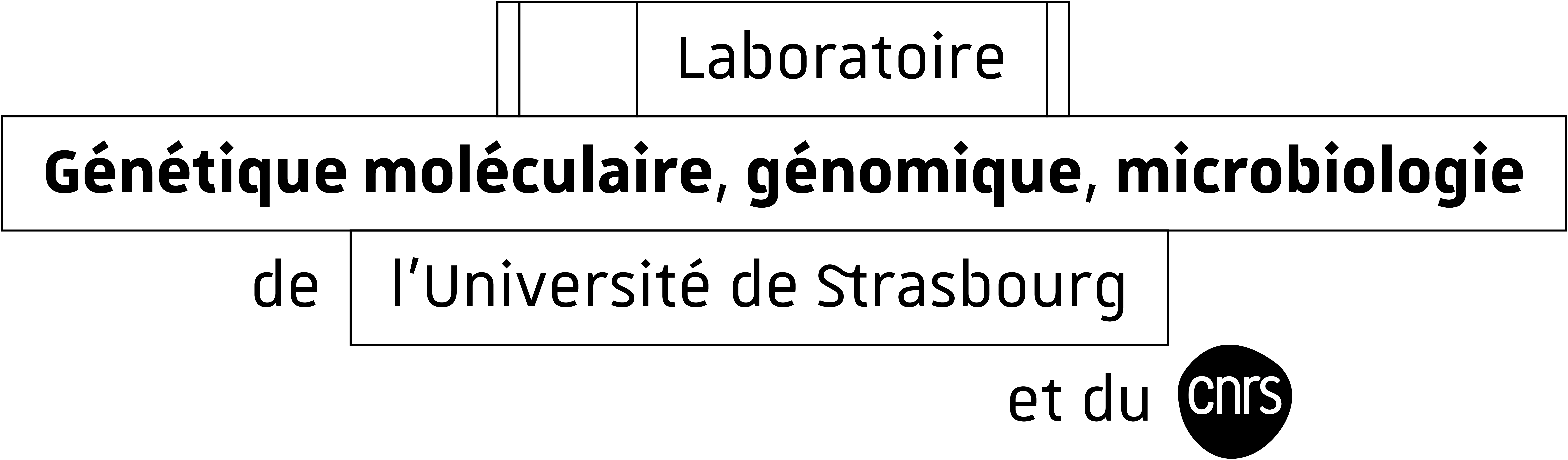 Logo Laboratoire de Génétique moléculaire, génomique, microbiologie de l'Université de Strasbourg